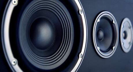 Speaker woofer
